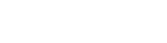 A not-for-profit center of partnering farms who offer a unique horse experience for those who dream in the face of adversity